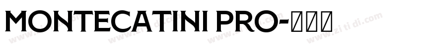 Montecatini Pro字体转换